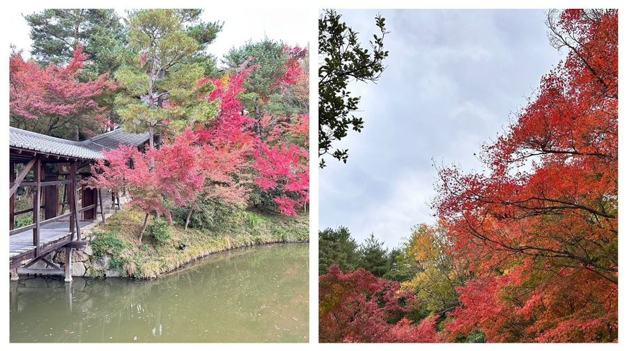 京都祇園